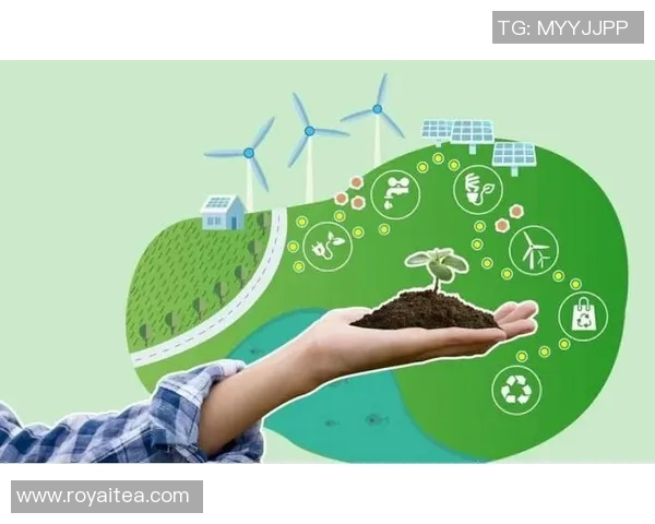 生态优先推动可持续发展探索与实践：从环境保护到绿色经济转型的路径分析